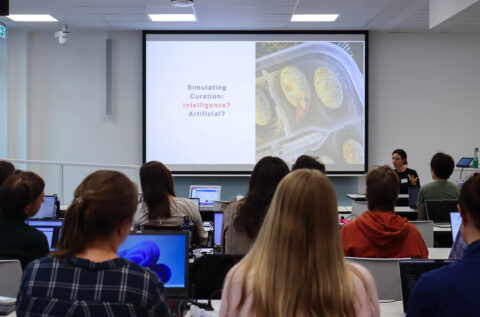 (Bild: Ismail Barakat)