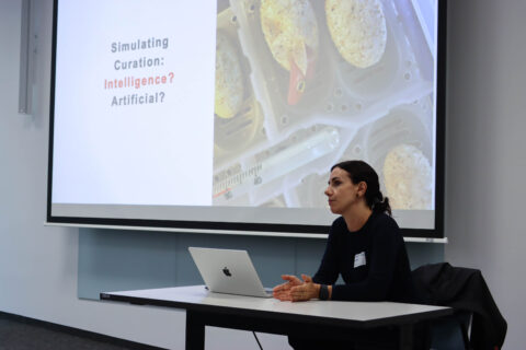 (Bild: Ismail Barakat)