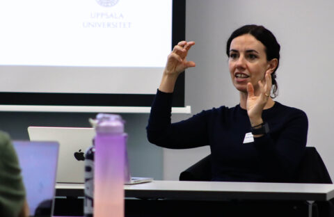 (Bild: Ismail Barakat)